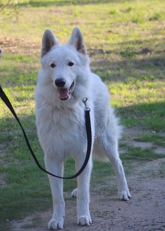 Mon khays de la foret d'Arcanin